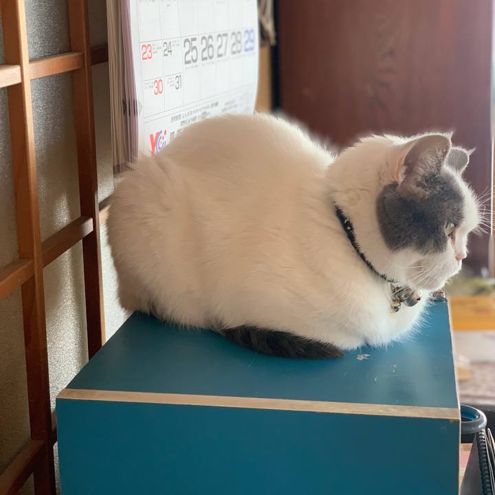 50ff679a eaed 4d07 a444 5be605e45aaf 1739234431254