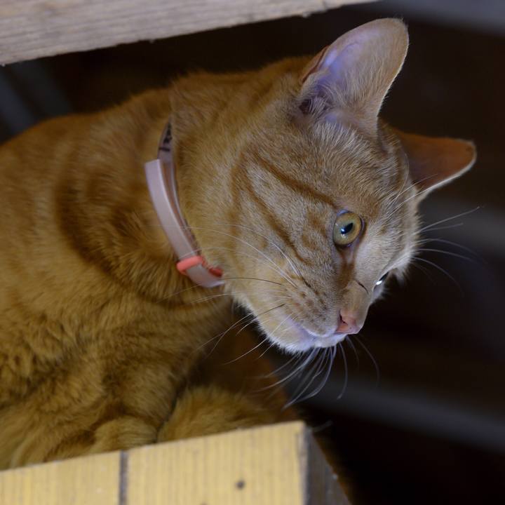 50ff7869 d46c 4014 ba85 9a3ad1f1ce1e 1557010816670