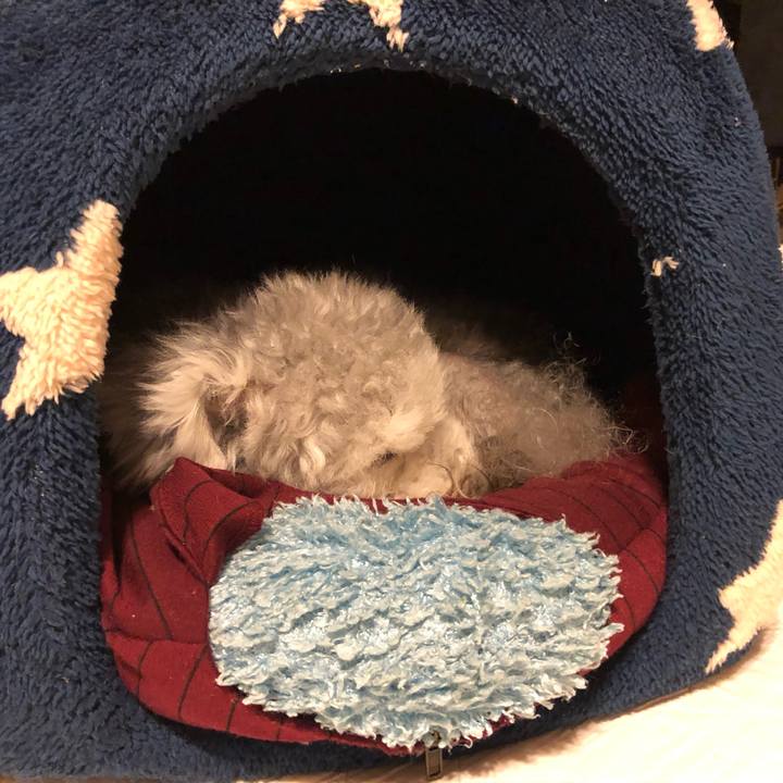 50ffabd5 c380 402b 93c9 e2edb5bb3f61 1601426466814