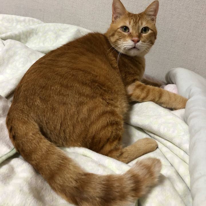 50ffca5a c617 41f1 8d35 a57d6c122cb9 1596201260711