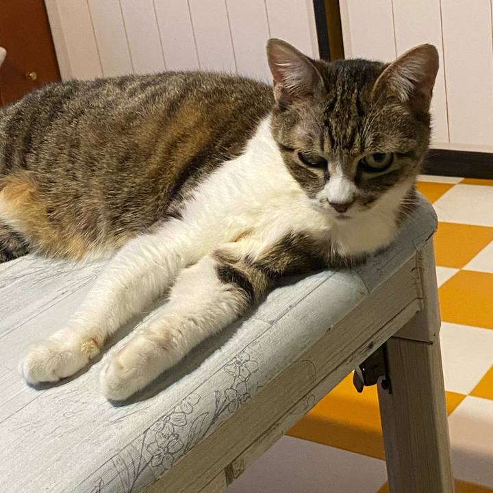 50fff886 35d3 4dfb 8a8b f4b83cc509ab 1688033156259