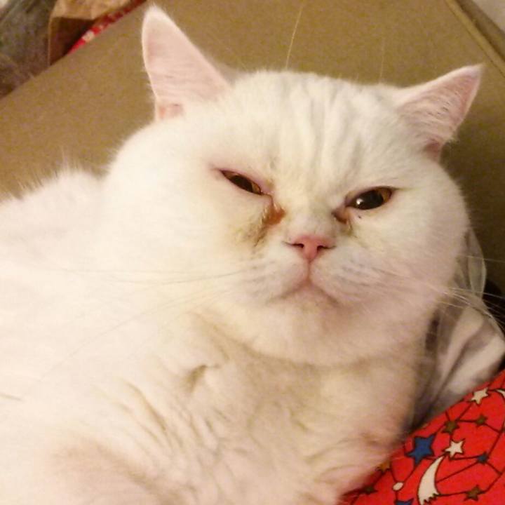 50fff8d2 9d1a 4da6 aebd 33db9f96adb7 1576468694885