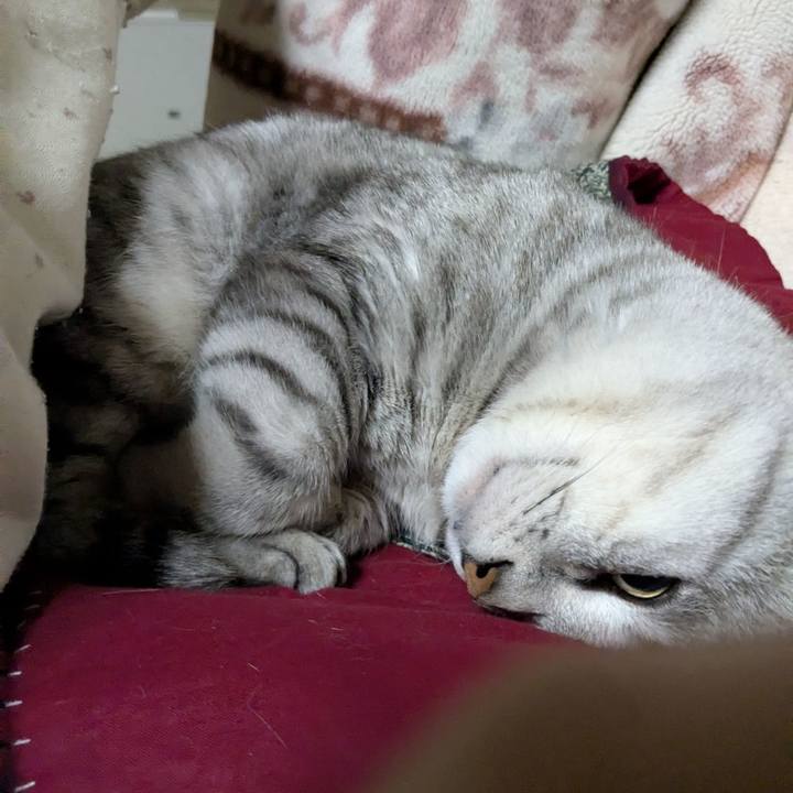 5100043b a208 4b24 89c6 38170dd760b8 1740928834334