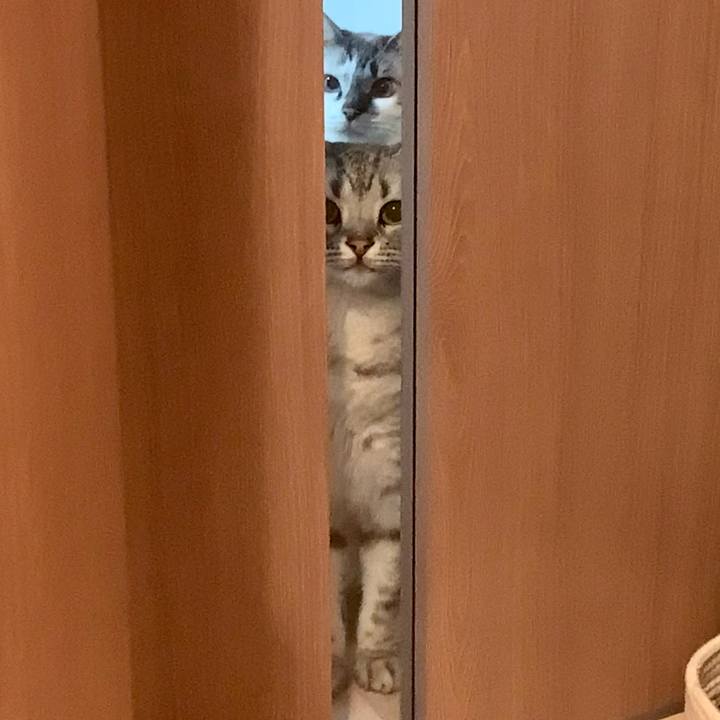 51002288 4e41 41f7 96a4 e5f94bf5661c 1625804328867