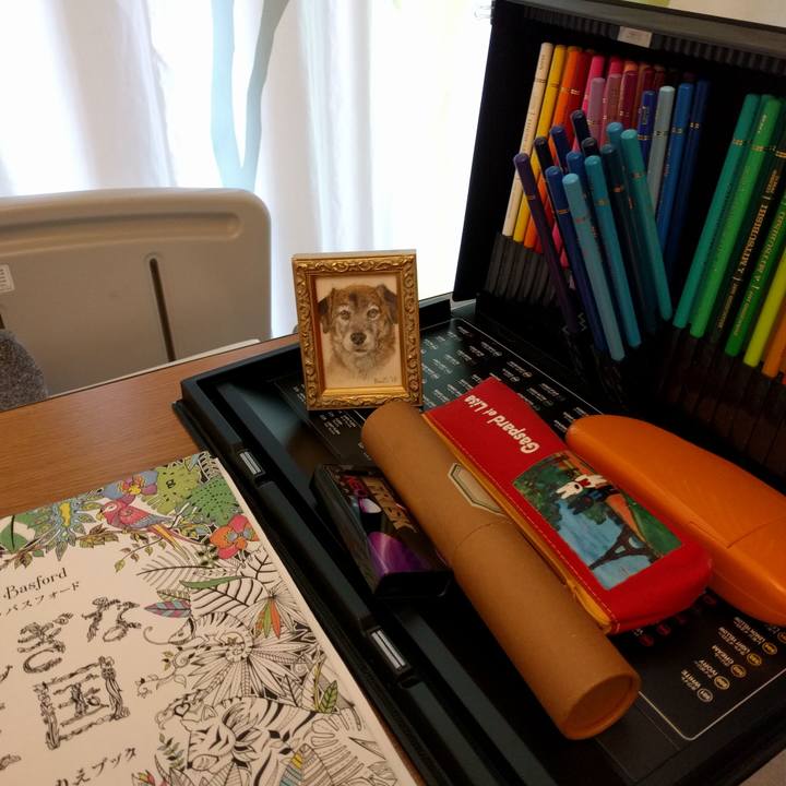 51004039 f010 4475 92cd a6955e8fad38 1553489581469