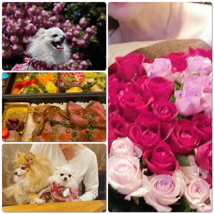 51005079 ce1c 446b bd96 d86788617ac6 1587349858856