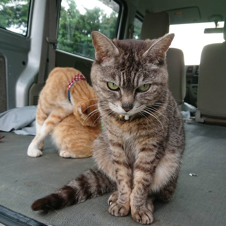 510077ab 62ad 4109 96d1 4d25334e506d 1559983032802