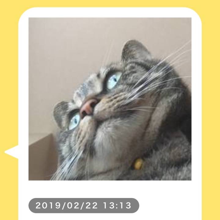 51009c33 3775 43a9 af65 26f4afbbe2c9 1550810963710