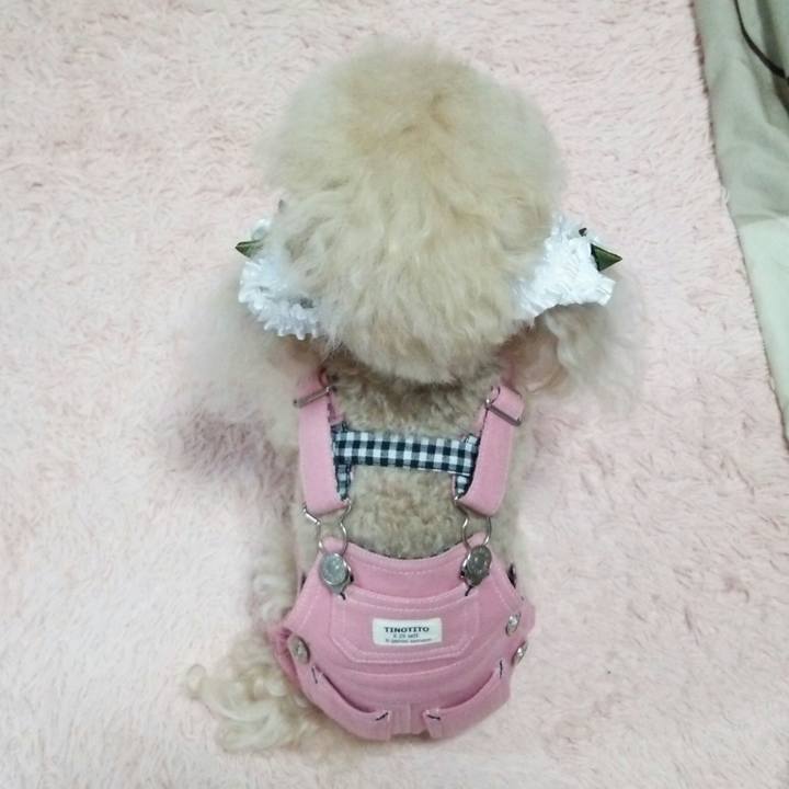 5100c33a f347 4909 8f4d f1a4ee20406a 1542789687573