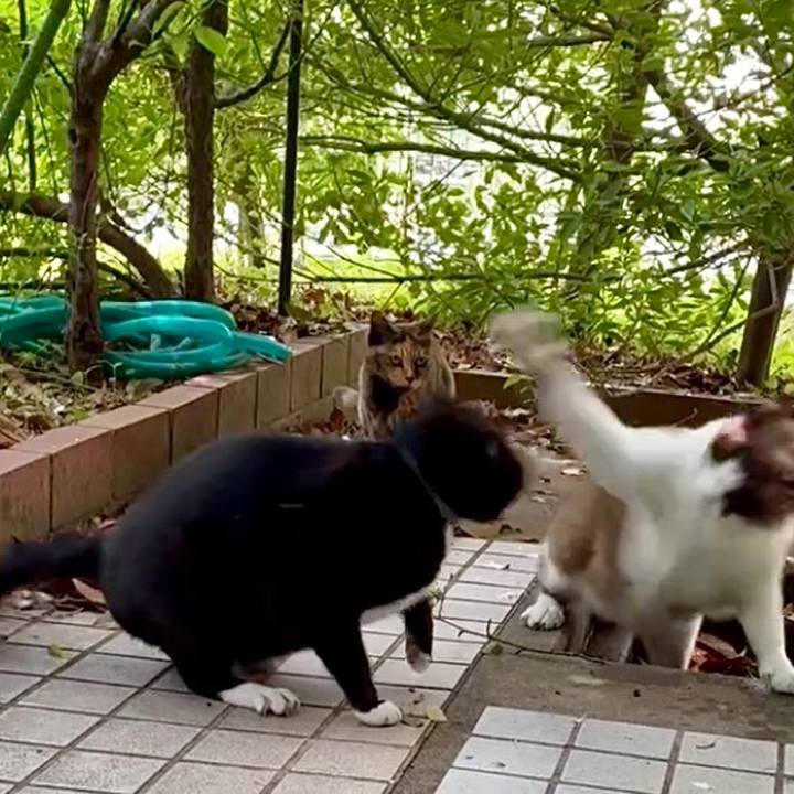 5101012d f3a7 4a88 9907 7b78e3a2cc88 1747619908649