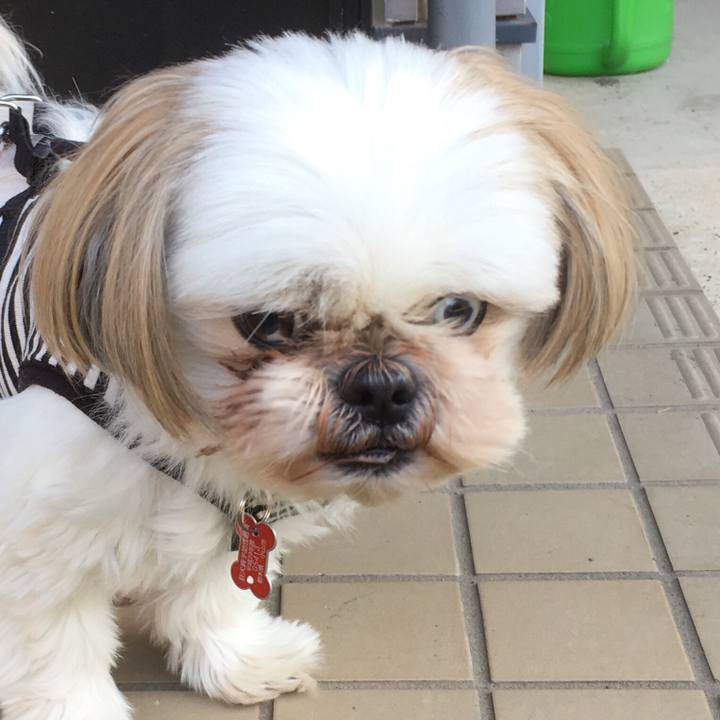 51013fee b331 4b81 a696 2f3f939bd86e 1510283632350