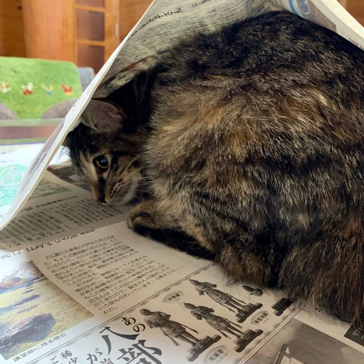 51014940 cbec 4545 880d 7e7768a31145 1643274022737