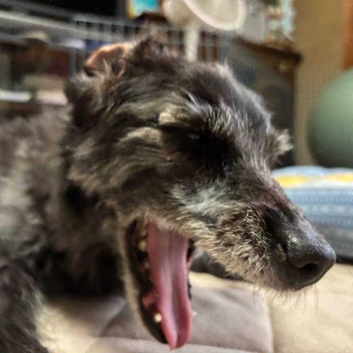 51014dfe 22b4 47b8 99c9 200d3ae47918 1758324470414