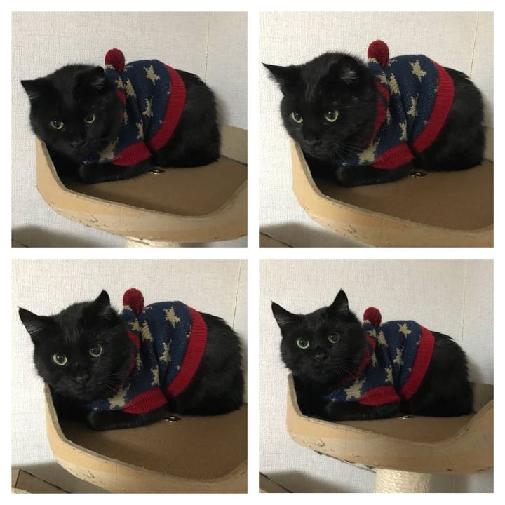 510152b9 cc50 4357 aebc 716cb8855893 1561248573570