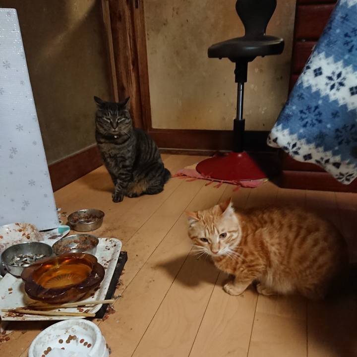 51016ea4 a9fe 4799 a43e 1258228dc79a 1644319421297