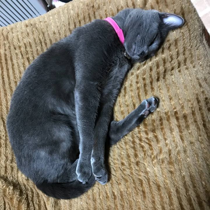 51017172 2a60 4dbc 8f69 1f9e2b923c3e 1516537830273