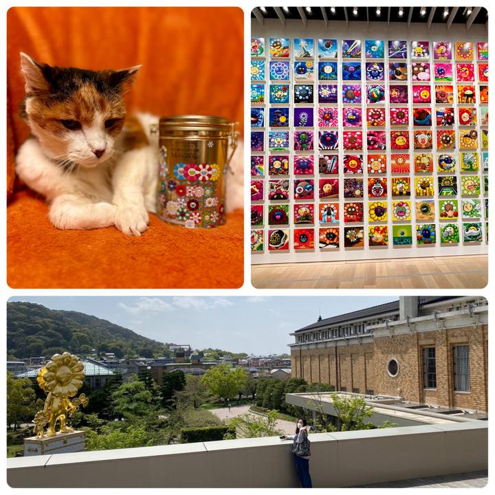 510186c9 9b4a 4f71 a66a 54b4edbc2b14 1713352917806