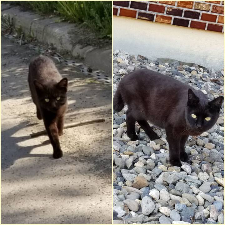 510187b1 606c 4961 8801 d3be9b90b781 1559133790322