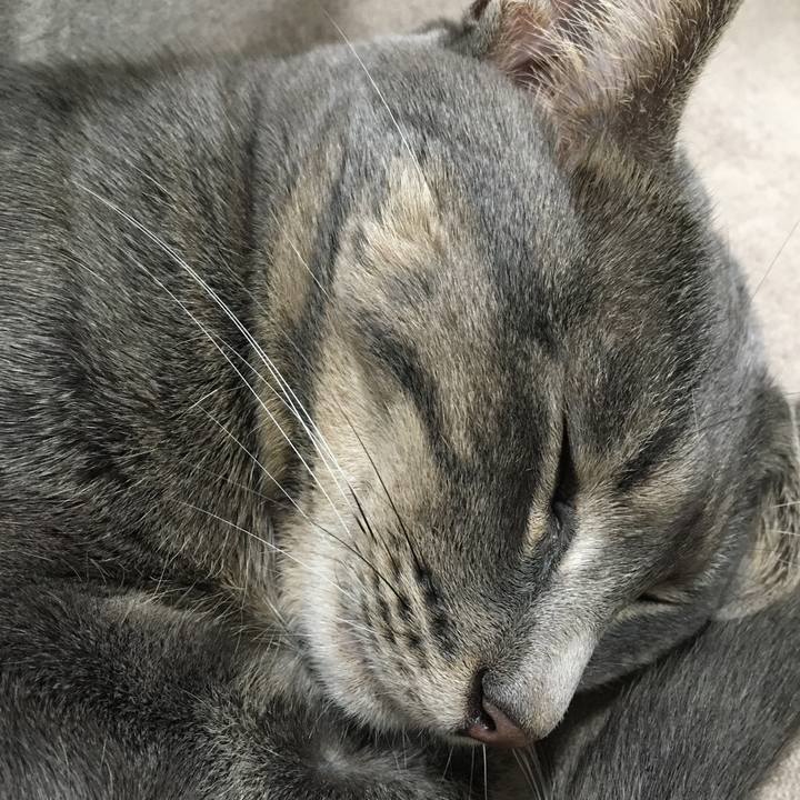 51019670 f212 48d1 bc09 30c81b13e1c8 1576326175152