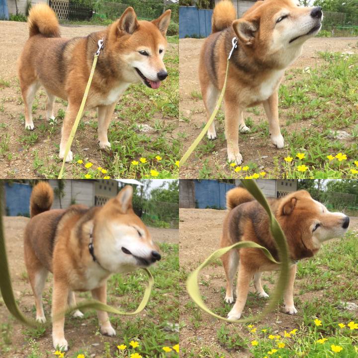 5101d932 11ca 4d29 8ac5 3b0ab0b2656d 1589253740369