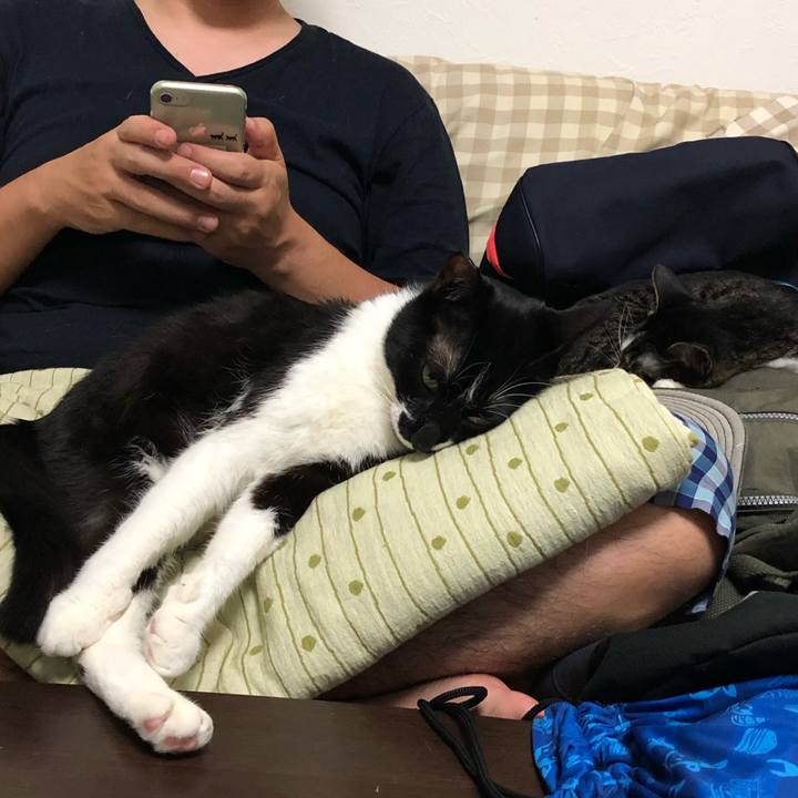 5101e118 2bf7 45db b7c3 febadb484130 1560677830036