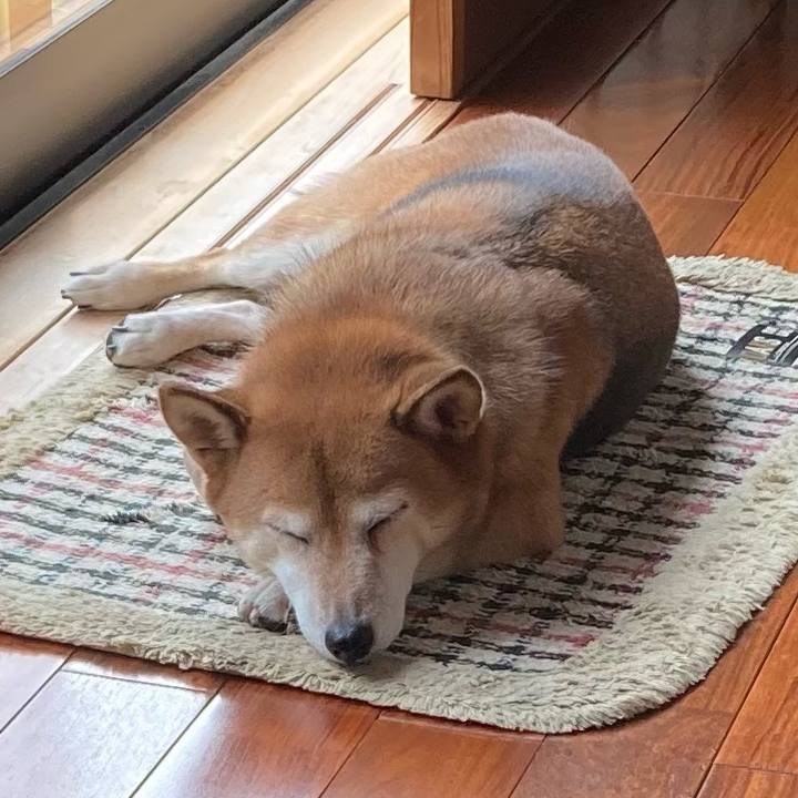 5101e192 d551 444f aee1 a23e54f532af 1632288247229