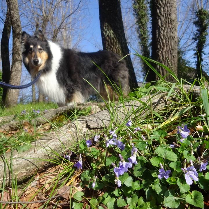 5101fb8a 67b6 4868 ba54 162dba8377ca 1585836260697