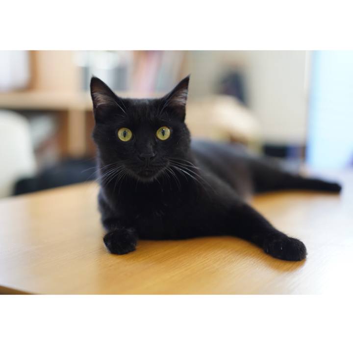 5102185d b404 44b9 b3c7 ed4e4a4de2d7 1566345881261