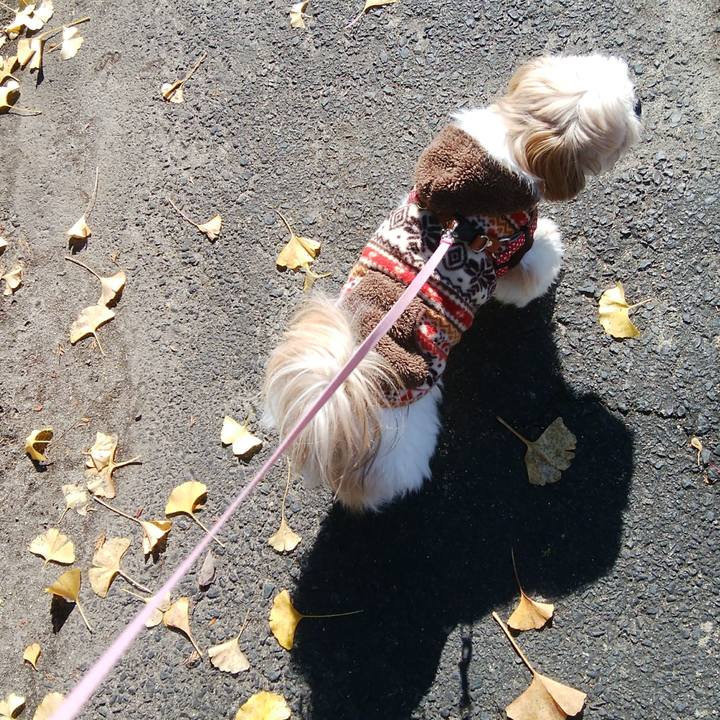 51021fa4 11d8 4b38 a697 921eae6b6bb0 1511237019829