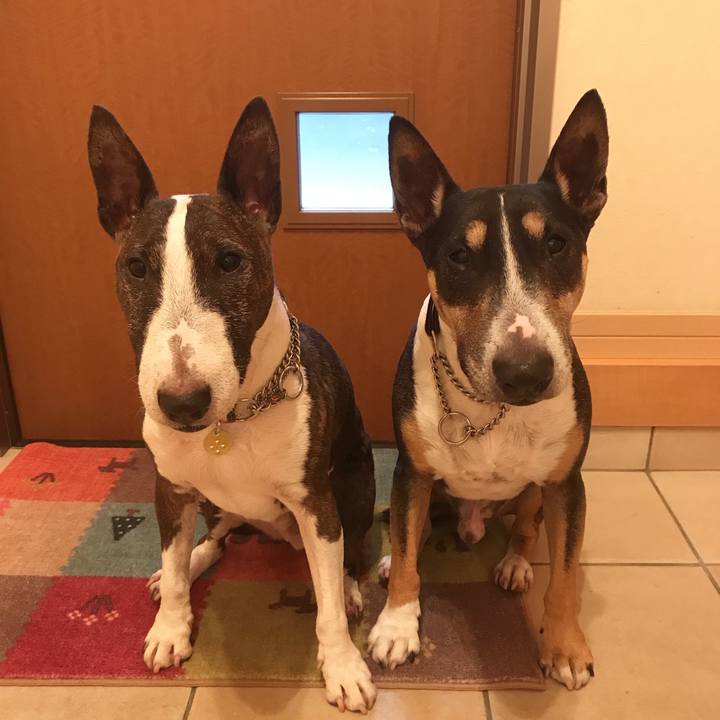 51023638 f994 48a6 ab4e ca32746e1f86 1508832619825