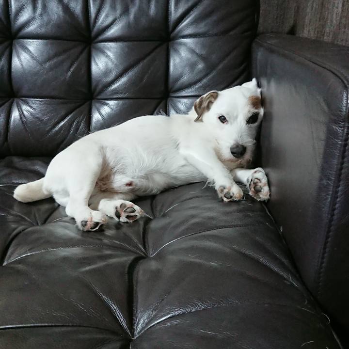 510236eb 2314 4485 b6c7 23f1114d26b2 1562025289377