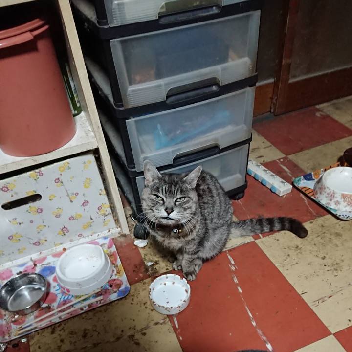 51023db7 790b 4afe 9249 cde5f1acd557 1583699029667