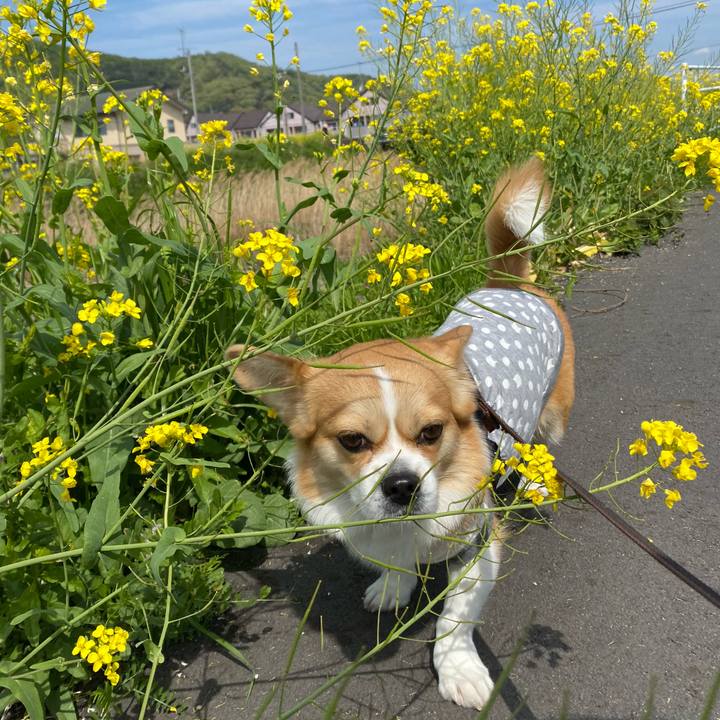 510262c1 bb08 46ba 9365 424922d42fd5 1618050063631