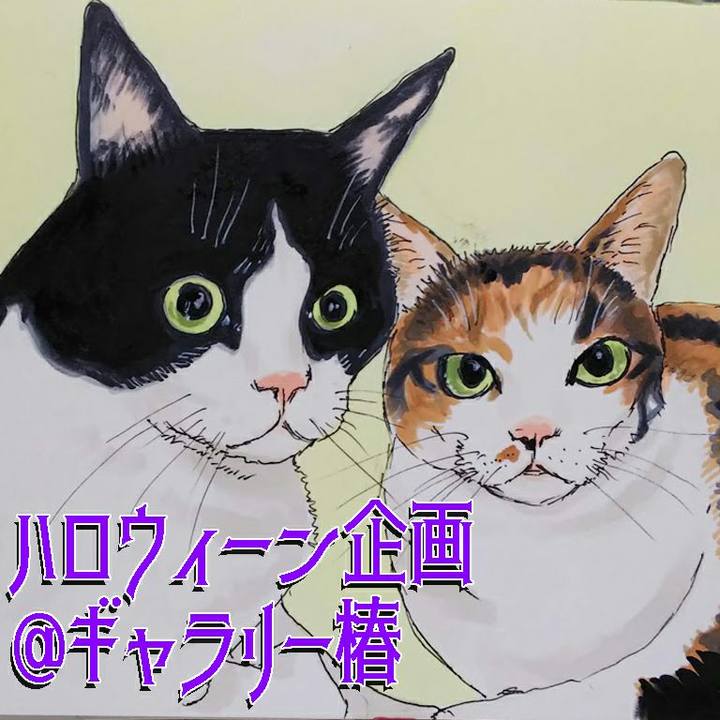 51026c56 e261 4384 92bc fdb5fe2c6779 1590311539490