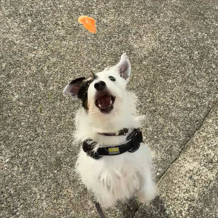 51027f9d 1dc4 4015 a584 d5ff3a5609fc 1758581198308