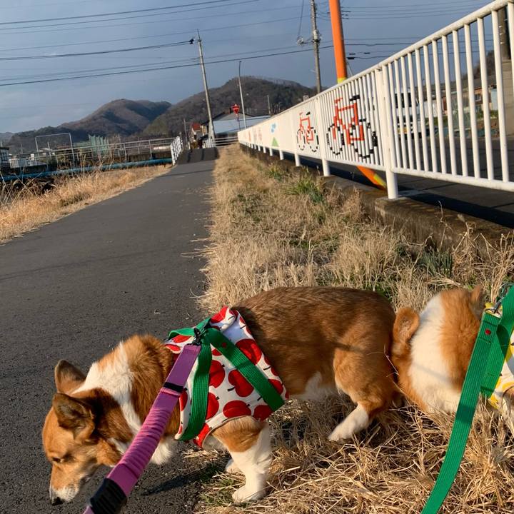 5102ce40 af99 48c9 9363 52988c26da36 1646832242465