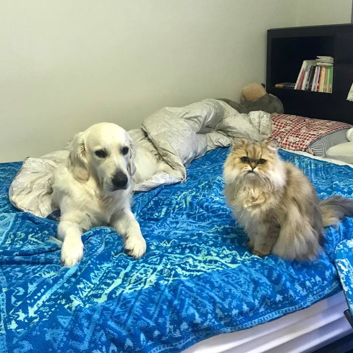 5102e6d1 b89c 4c61 9ae8 dfc82c3028ac 1539853311224