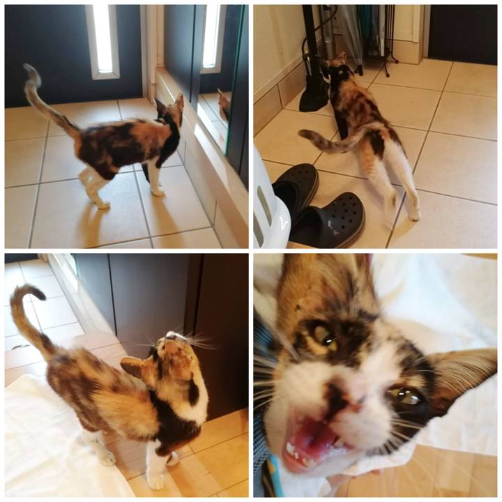 51033c5a 6bb7 41df bab2 c41cafe4cc78 1593747248978