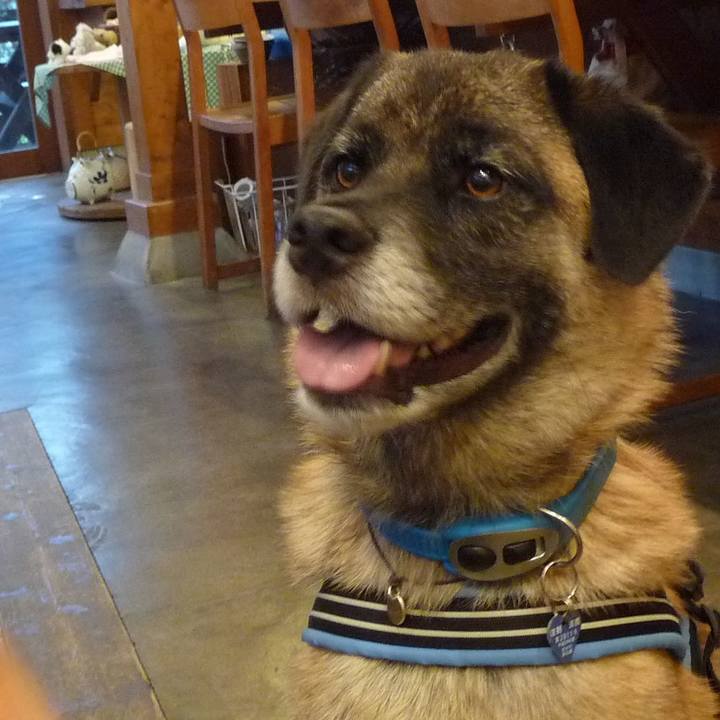 51035075 4590 4718 a343 fbcd2c2bd15b 1578183657620