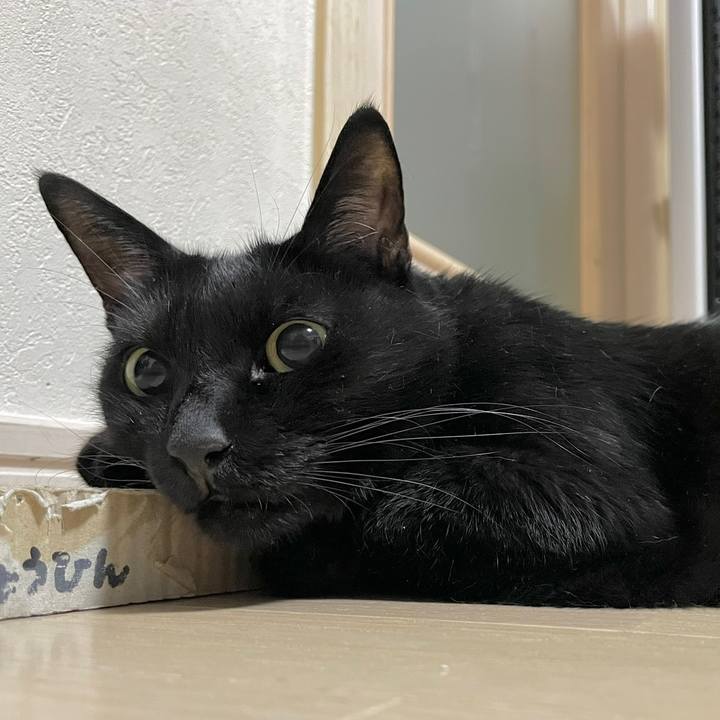 51035531 38ef 49a5 9d3d bda0c5213089 1696678289632