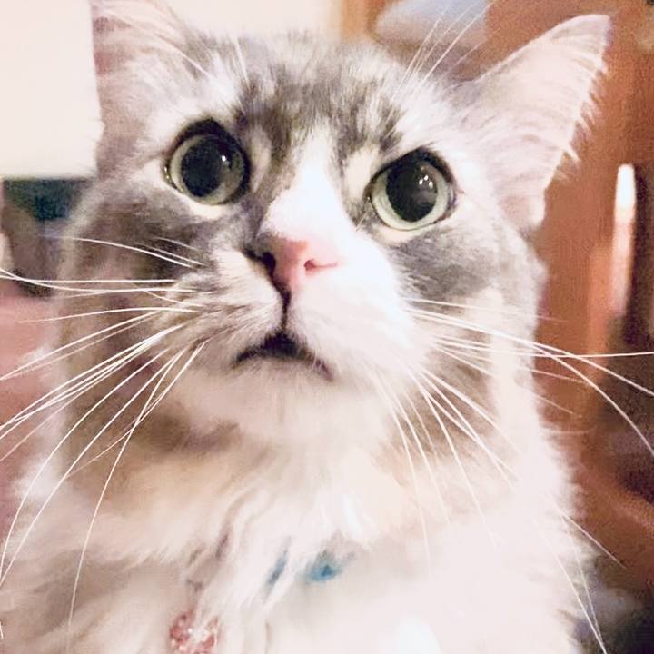 5103847c ec43 47fd a9c6 b18bf191a0d0 1750779750934