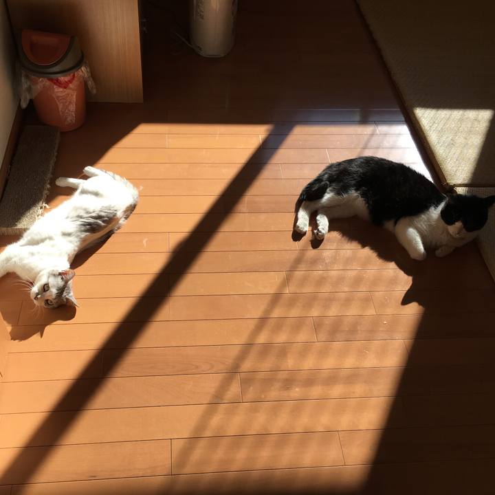 51040b8e 4409 4849 be6c 7b2820387b71 1512443731748