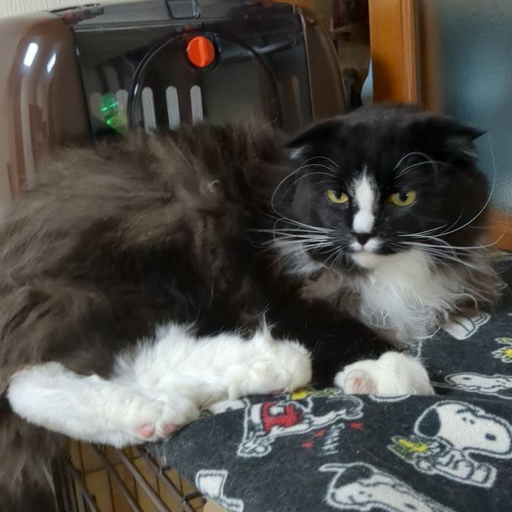 510421df 848c 4b3b 86fb 2e067fdd9562 1674017756415