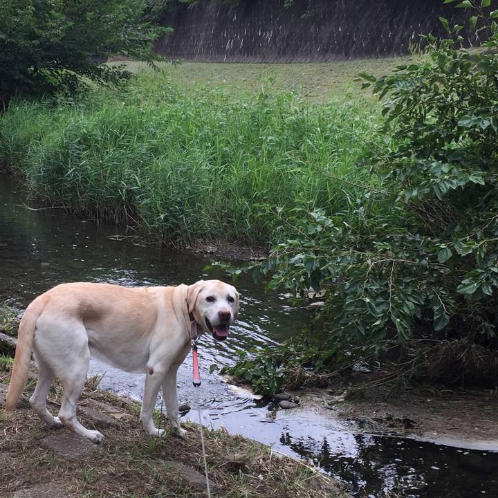 51047a90 4159 4b87 944d b4089c8b46ac 1536226272162