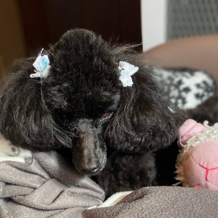 5104907a a8fd 4ca9 bc50 b558017549d2 1612009810859