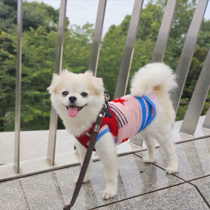 5104e531 5490 4700 b94e 5e3333e03771 1756610198000