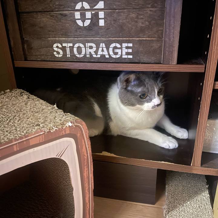 51050554 8931 41dc b424 62fa16bc319e 1695210578015