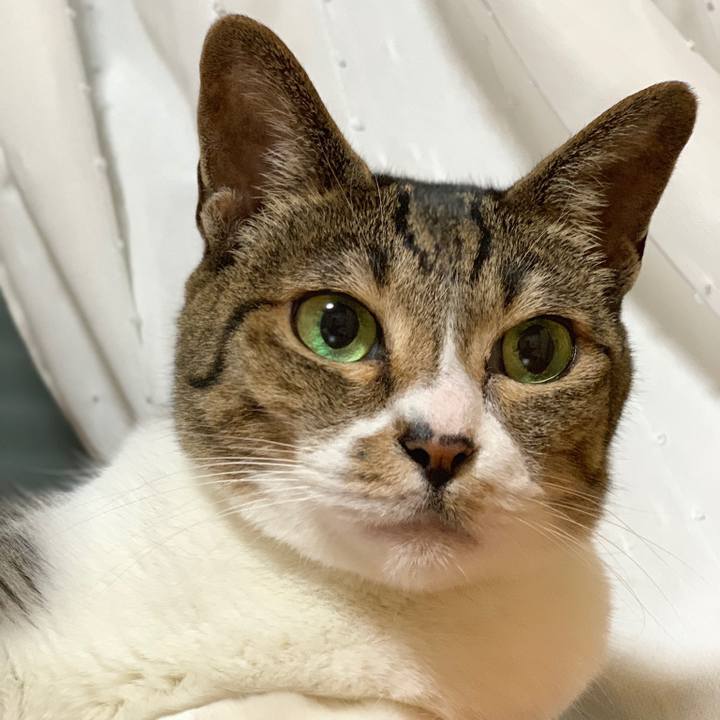 51056584 1f83 4dff 8b6b 00500a36f027 1563497336867