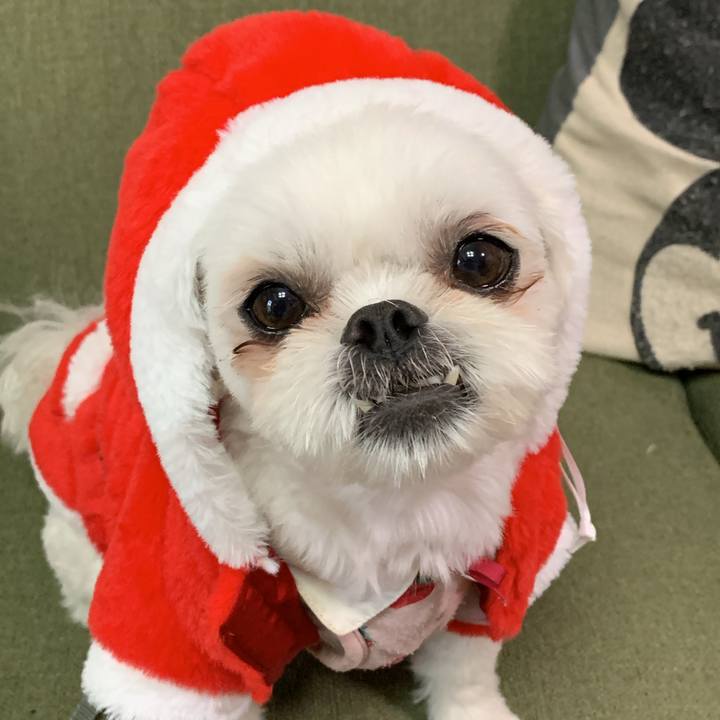 5105842c 7cee 4404 80af b1d53dc75336 1703406849677