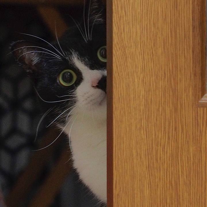 5105aee7 f9f7 4eed ba84 28ac8ed314c7 1514799037368